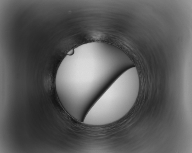 X0000088470651200705291550