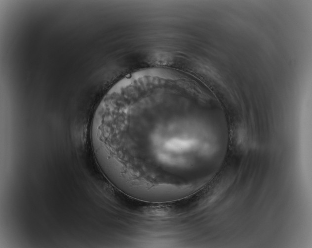 X0000088470652200705291550