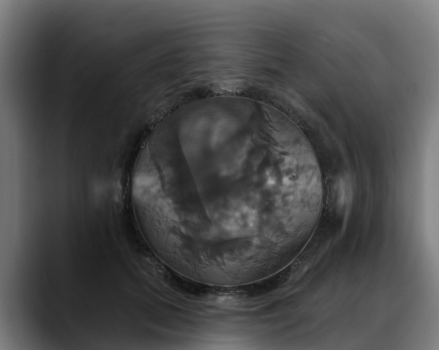 X0000088470655200705291550