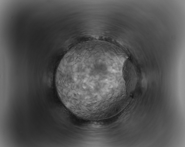 X0000088470656200705291550