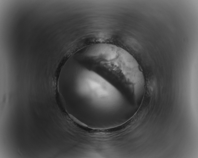 X0000088470657200705291550