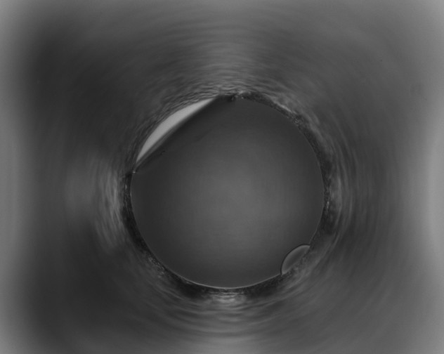 X0000088470659200705291550