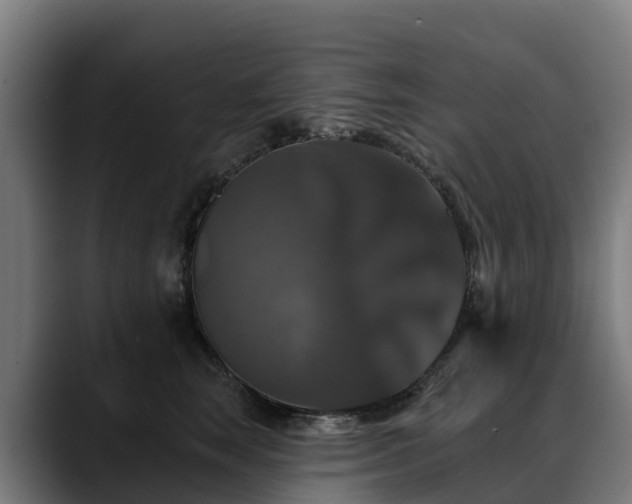 X0000088470663200705291550