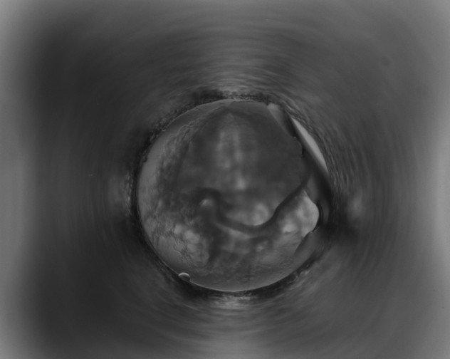 X0000088470664200705291550