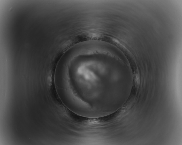 X0000088470668200705291550