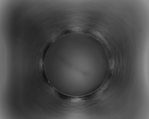 X0000088470669200705291550