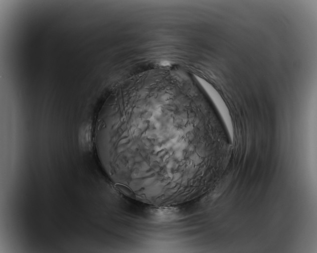 X0000088470670200705291550