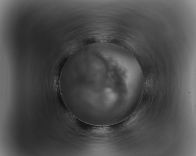 X0000088470671200705291550