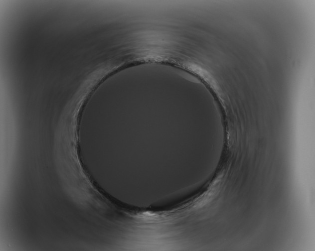 X0000088470673200705291549