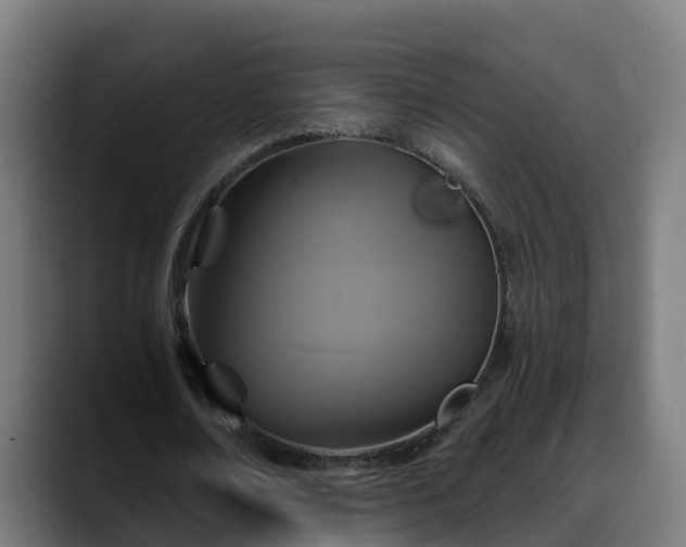 X0000088470674200705291549