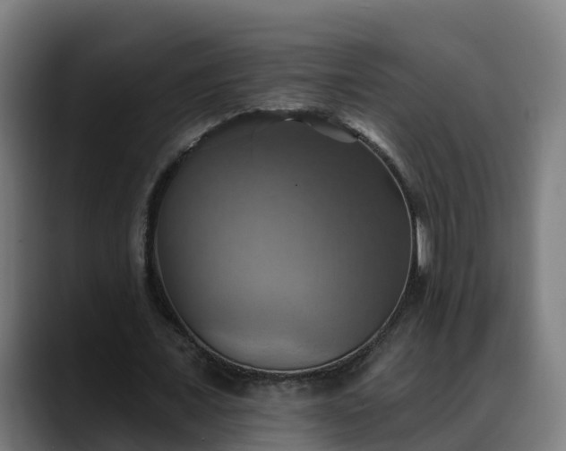 X0000088470675200705291549