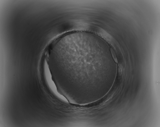 X0000088470676200705291549