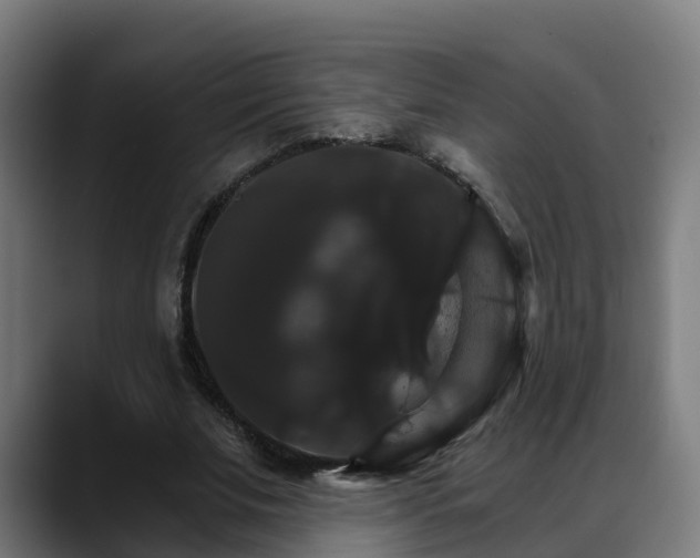 X0000088470679200705291549