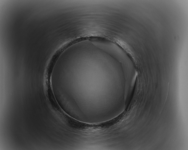 X0000088470680200705291549