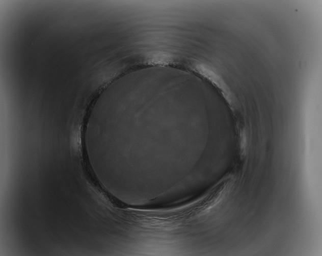 X0000088470681200705291549