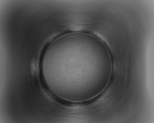 X0000088470682200705291549