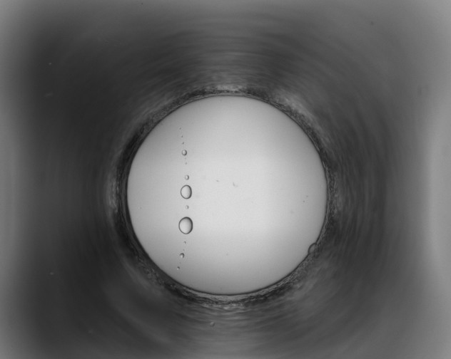 X0000088470683200705291549