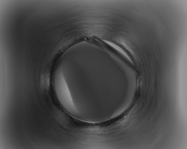 X0000088470685200705291549