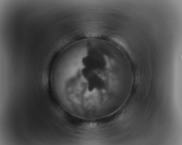 X0000088470687200705291549