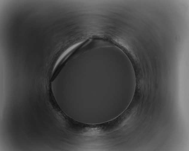 X0000088470689200705291549