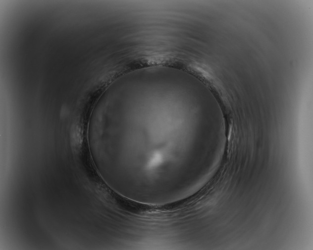 X0000088470691200705291549