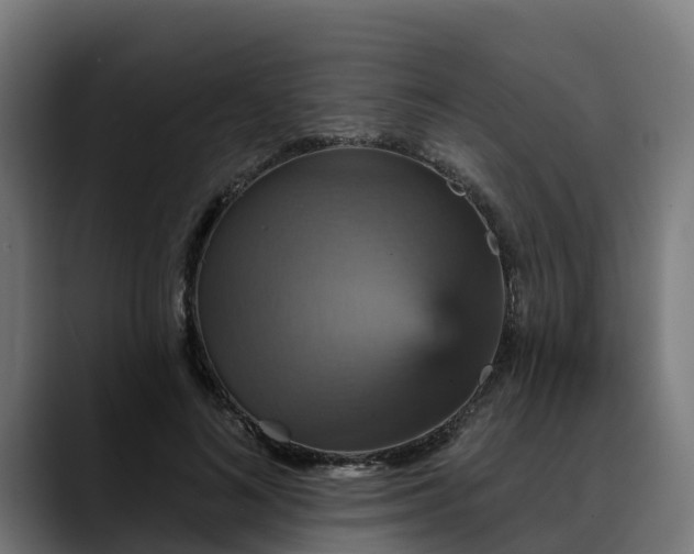 X0000088470692200705291549