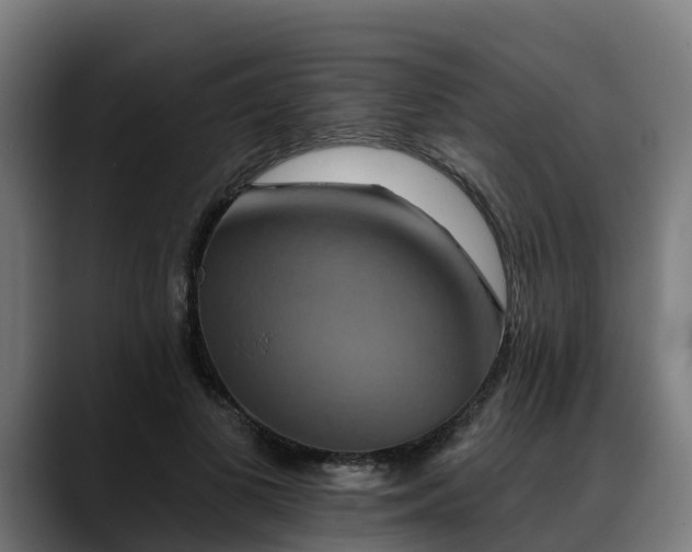 X0000088470693200705291549