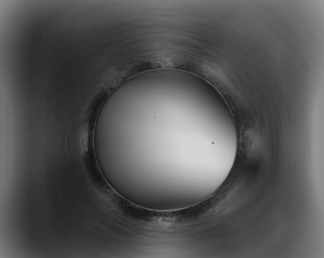 X0000088470694200705291549