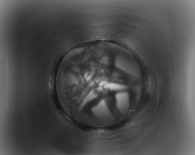 X0000088470695200705291549