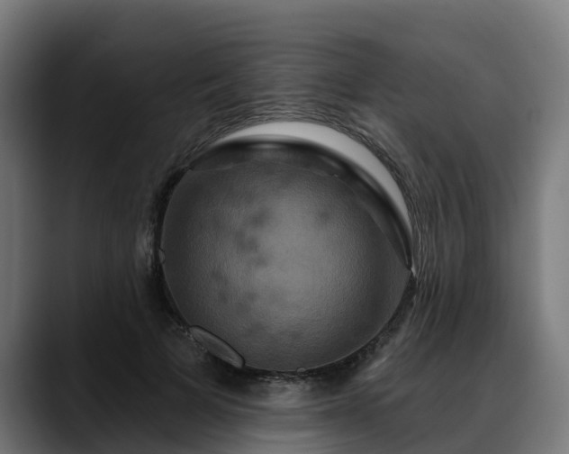 X0000088470697200705291549