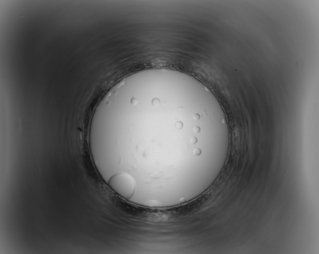 X0000088470698200705291549