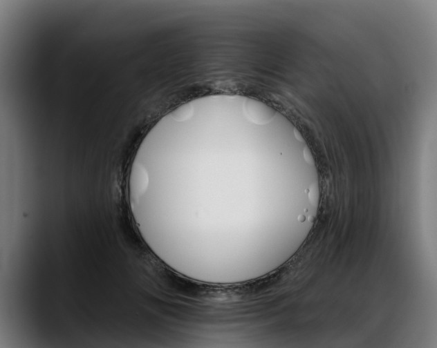 X0000088470702200705291549