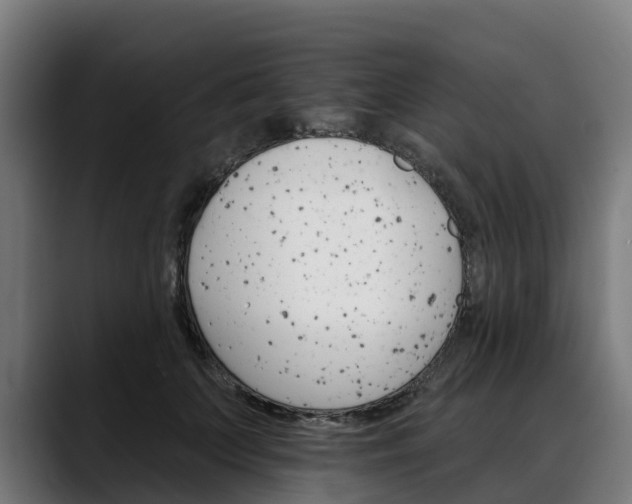 X0000088470703200705291549