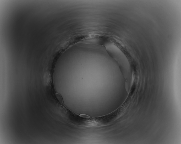 X0000088470704200705291549