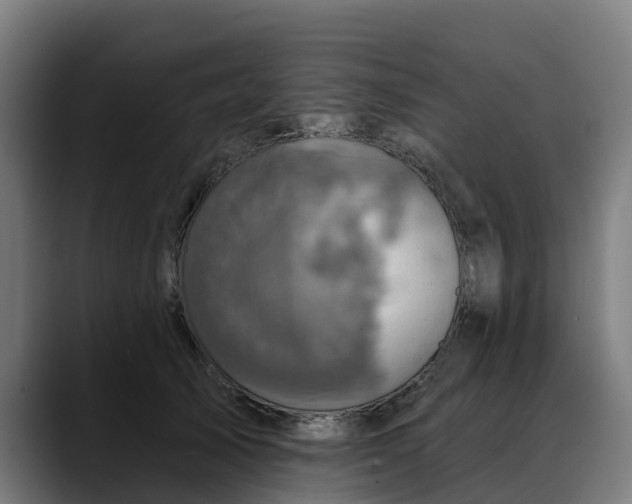 X0000088470705200705291549