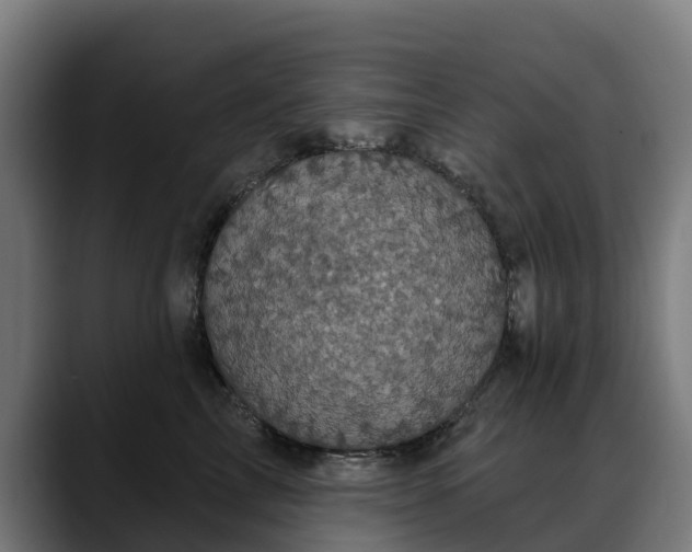 X0000088470713200705291549