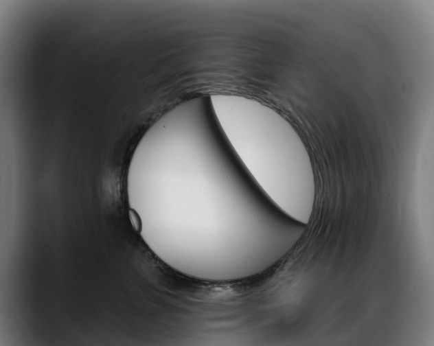 X0000088470715200705291549