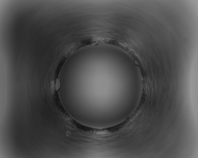 X0000088470716200705291549