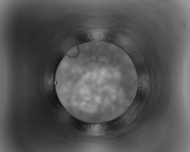 X0000088470717200705291549