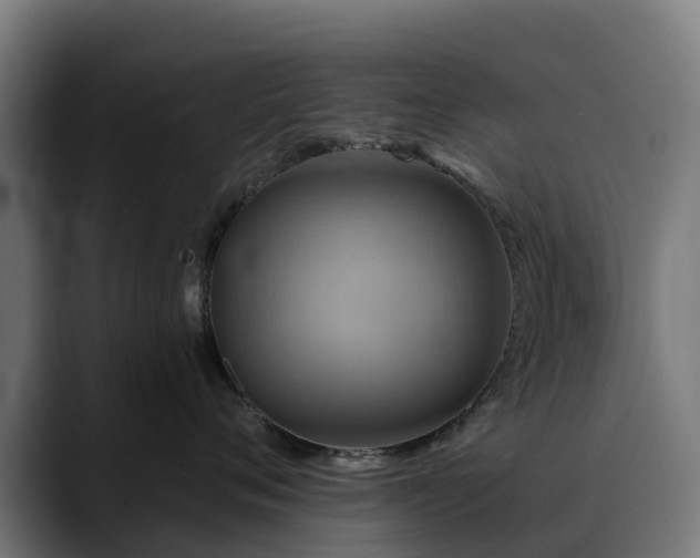 X0000088470720200705291549