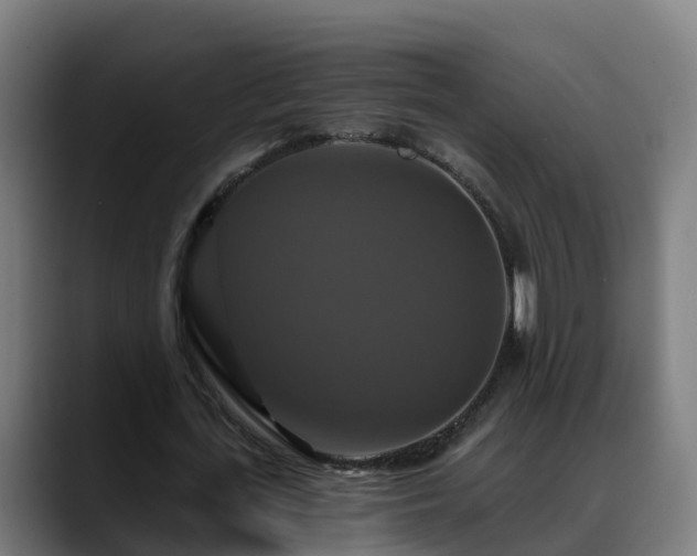 X0000088470723200705291548