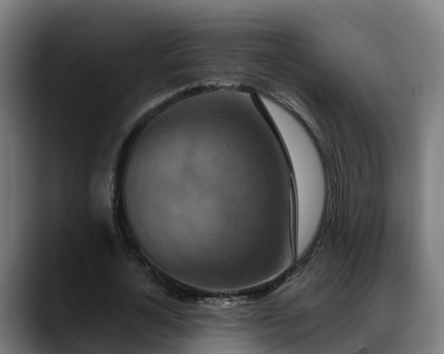 X0000088470724200705291548