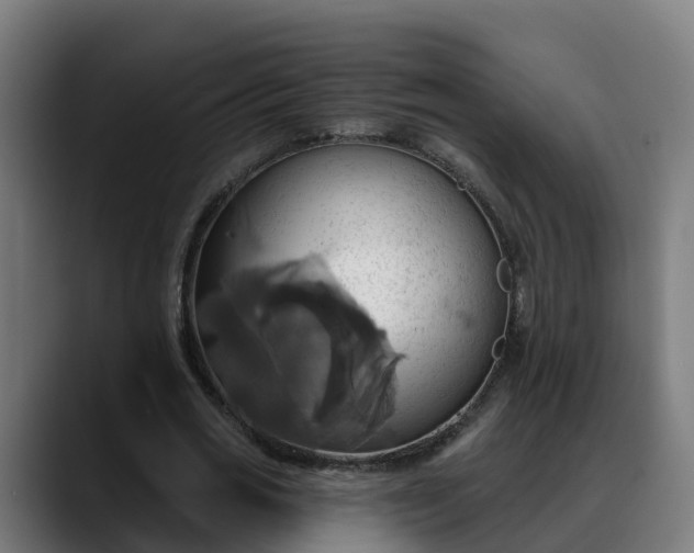 X0000088470725200705291548