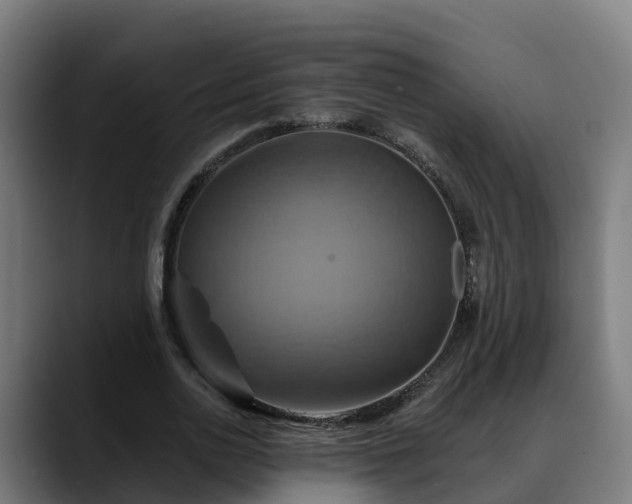 X0000088470726200705291548