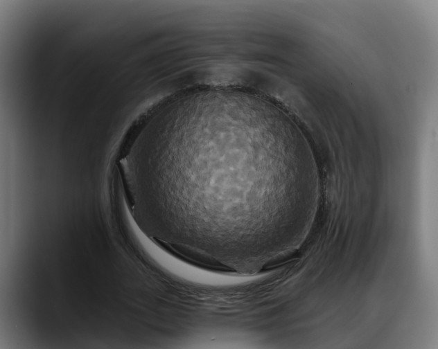 X0000088470727200705291548