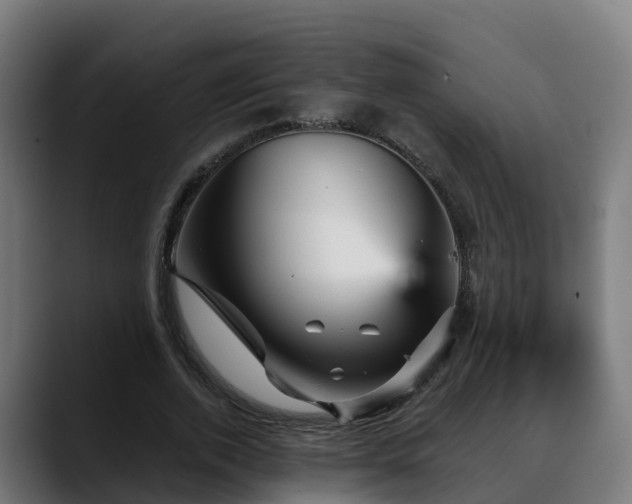 X0000088470728200705291548