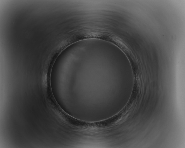 X0000088470729200705291548