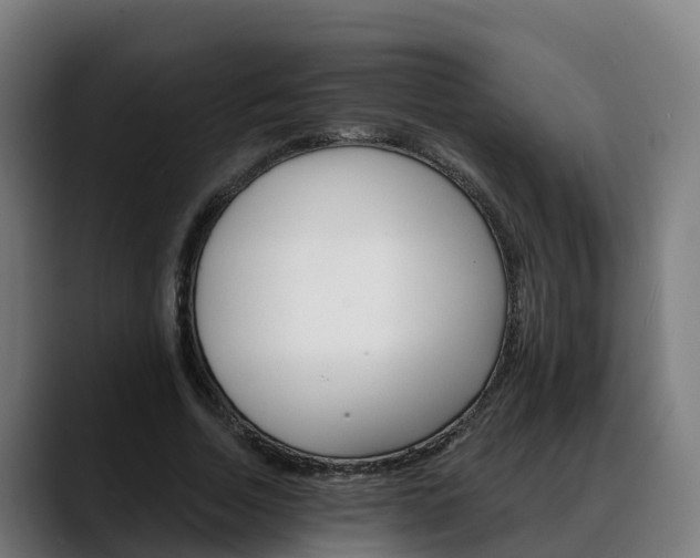 X0000088470730200705291548