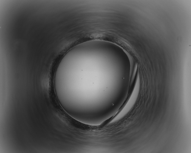 X0000088470732200705291548