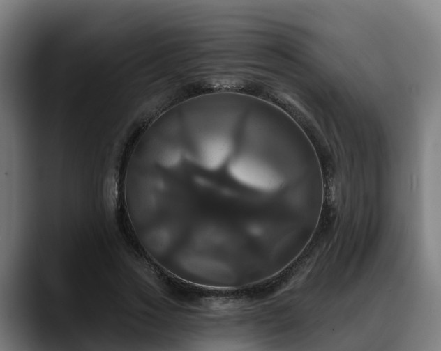 X0000088470733200705291548